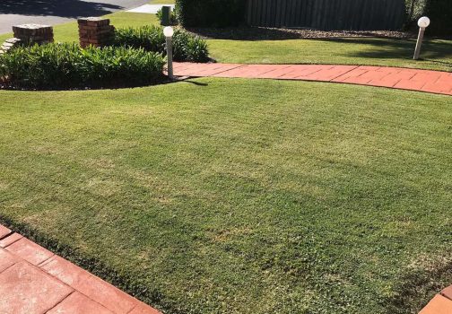 Why Homeowners Trust Our Expert Landscaping Services in Rosemount