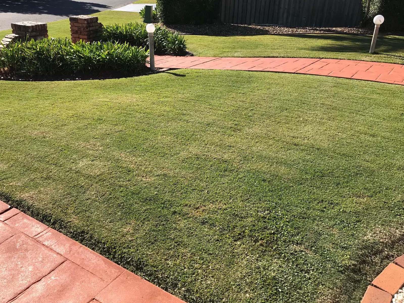 Expert Landscaping Services