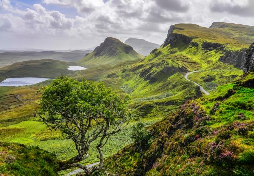 Scottish Tours with Elite Comfort and Professional Service